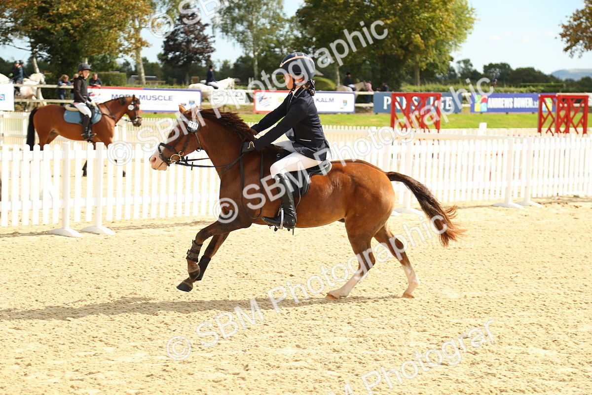SBM_46303 - Supreme Championship - AM
