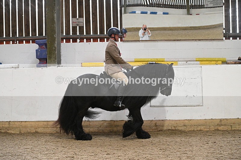 WJ7_4500 - Afternoon Champs