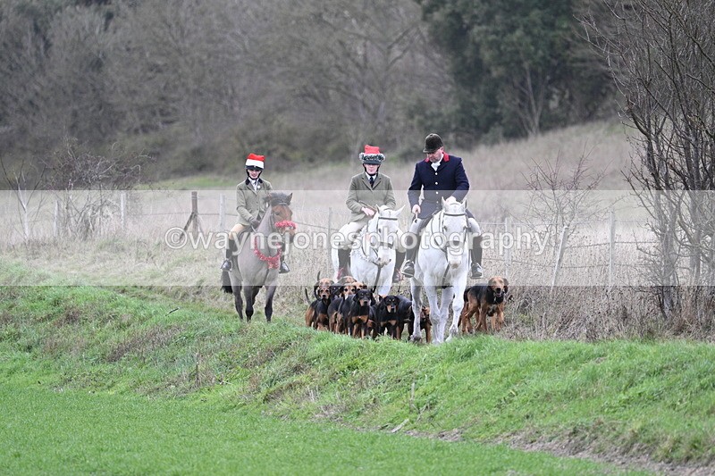 WJ7_0786 - First Seen