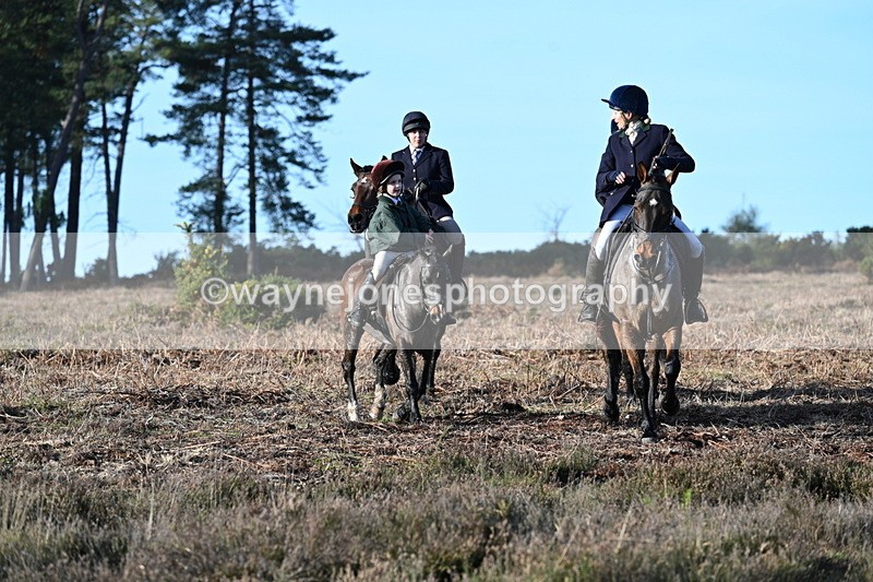 WJ7_7354 - Line 3 (no line 4 or 5)