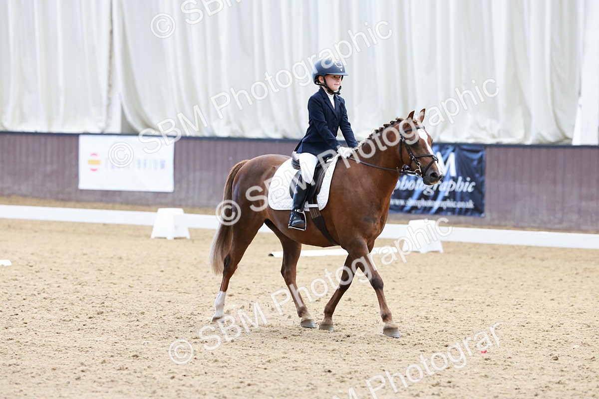 SBM_003146 - Intro 2