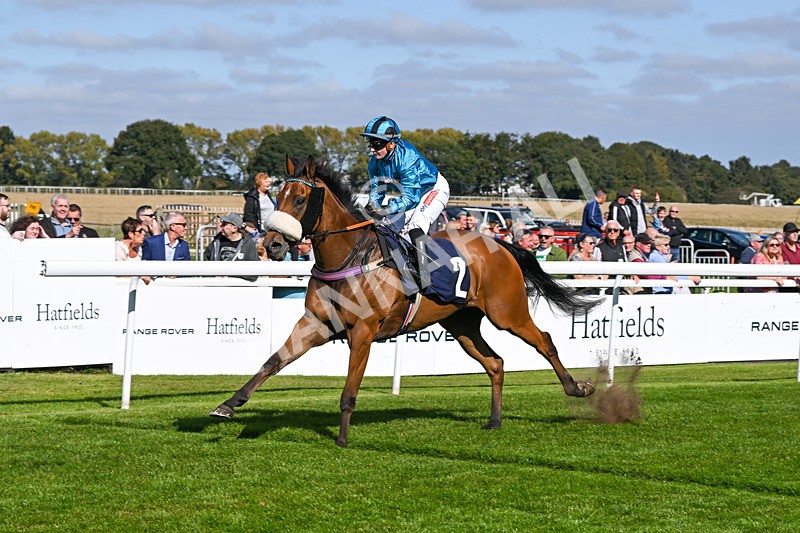 180924-Race 1-Tees George-3721 - Race 1