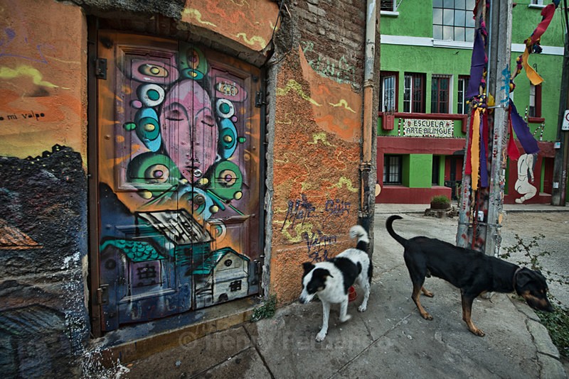  - Street Art & Stray Dogs - Valparaiso, Chile