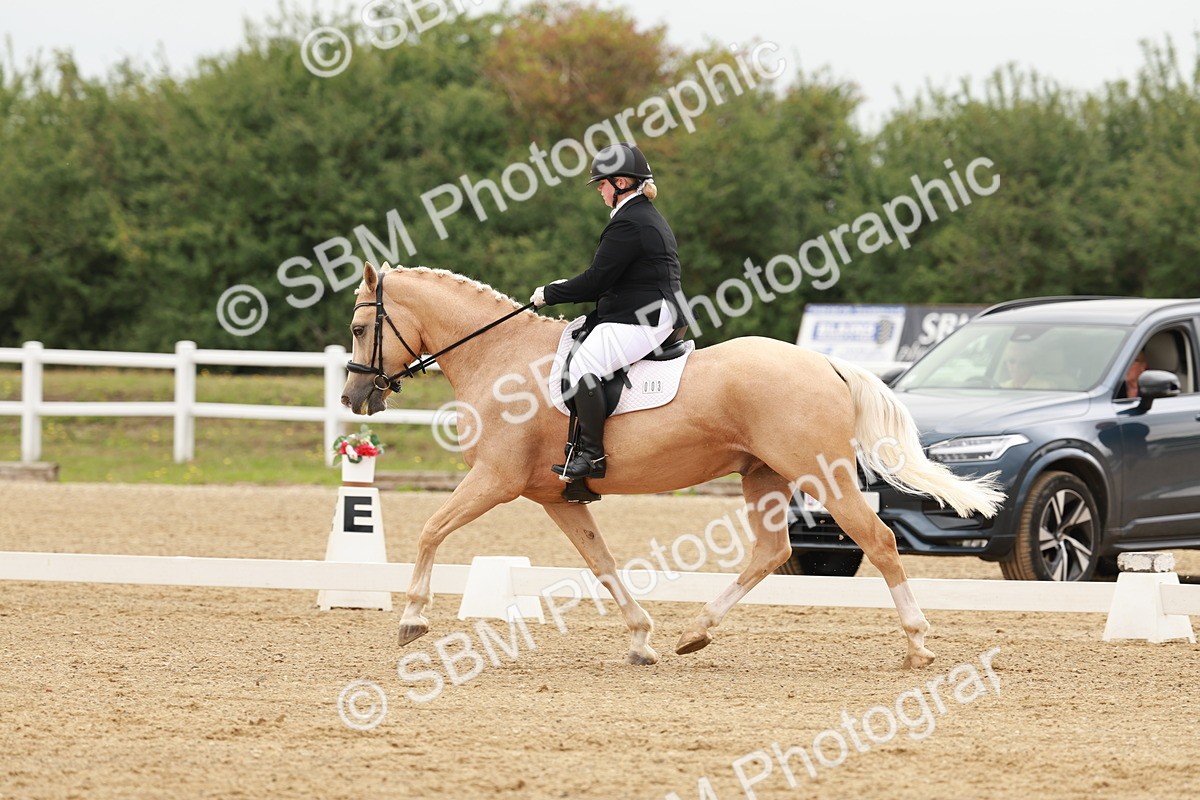 SBM_009108 - Class 12 - Elementary 6 - 9.30-10.34