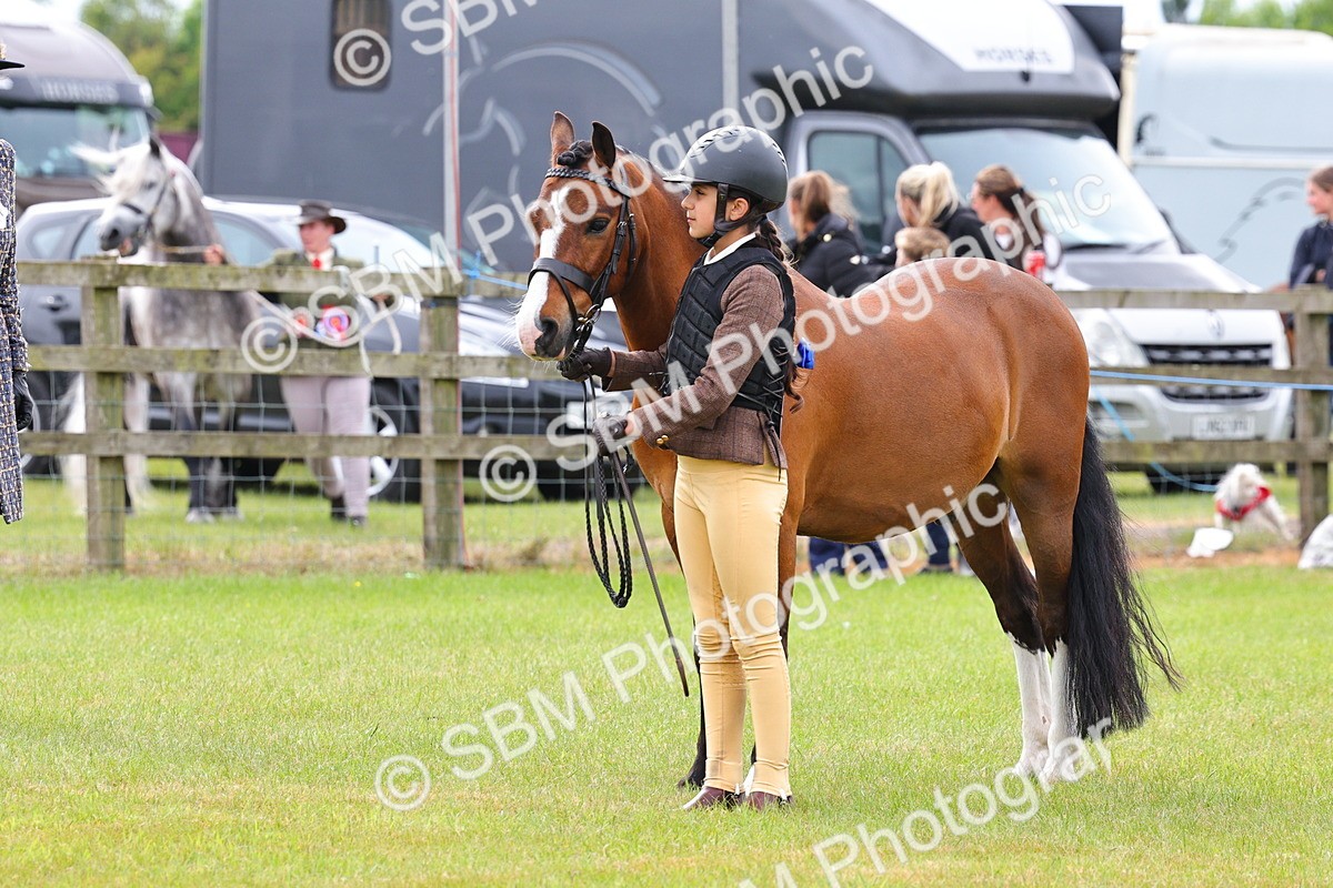 SBM_09602 - Class 44-45 - LIHS BSPS Open Nursery and Cradle Stakes