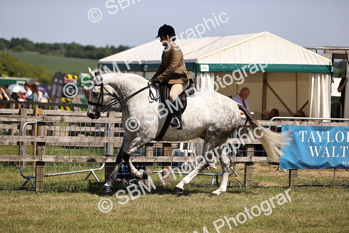 SBM_17729 - Class 81-83 - TSR Ridden Amateur of the Year - Horses