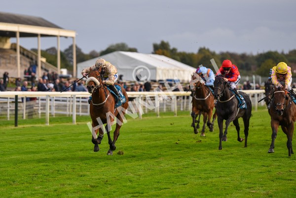 131023-Race 5-Irish Nectar-9675 - Race 5 4.25pm Parsonage Hotel And Cloisters Spa Nursery Handicap