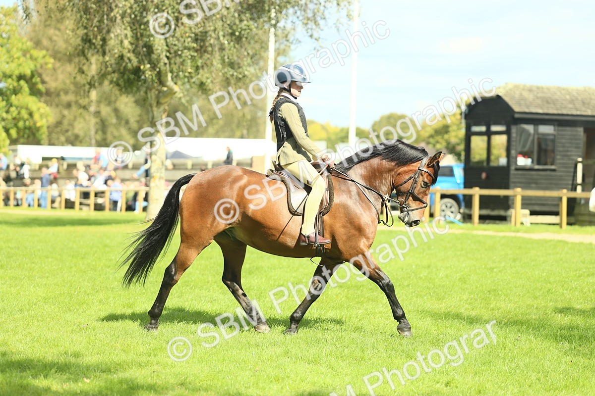 SBM_42979 - S30 - M&M Working hunter Pony