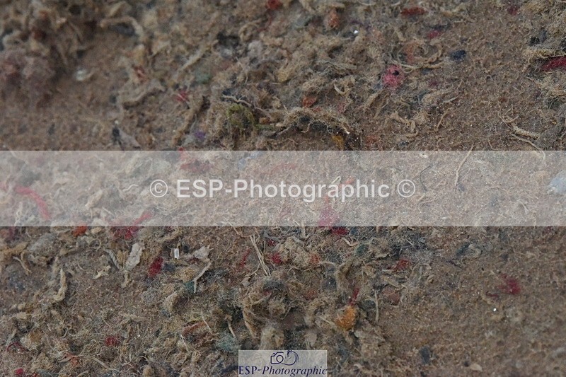 230917A-103728-06287 - Cls 33 British Novice & 90cm Open