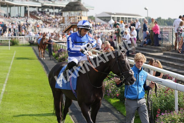 yr05092021r3-4 - Race 3 3.15pm The BioWaveGo Garrowby Stakes