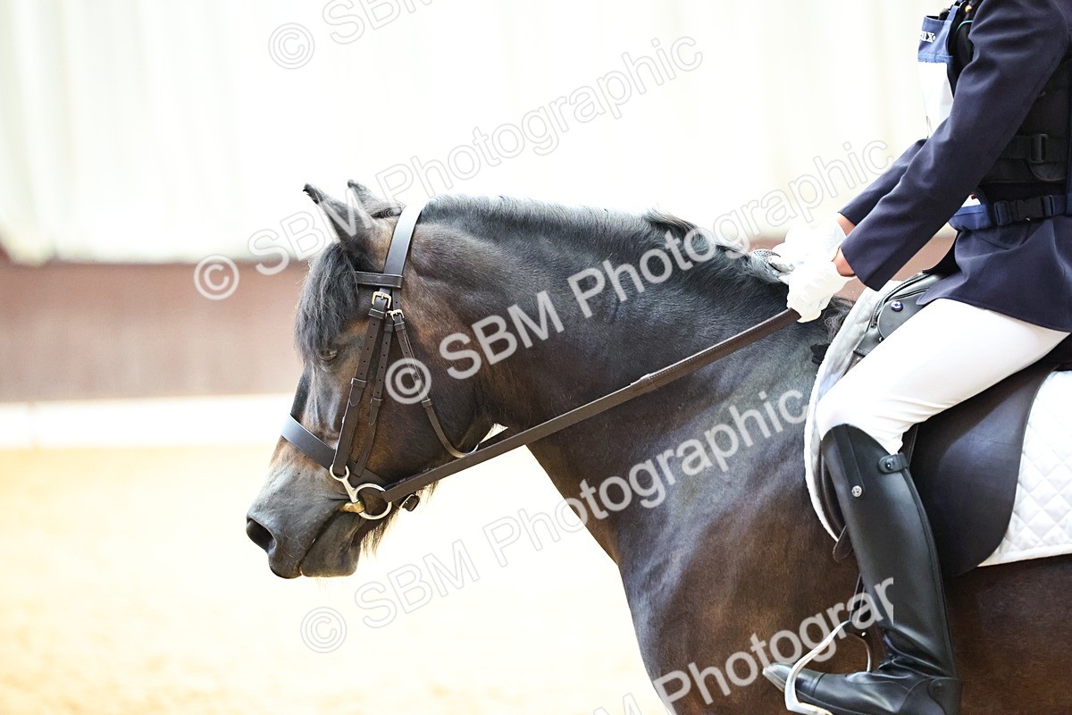 SBM_003392 - Intro 2