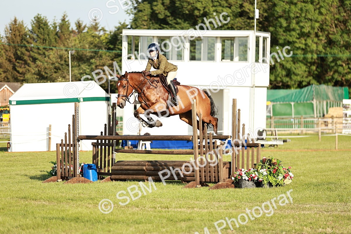 SBM_20376 - Class 117-119 - Sport Horse Working Hunter