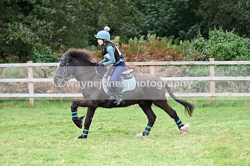 WJ7_7669 - 40cm Time 10:49 to 11:18