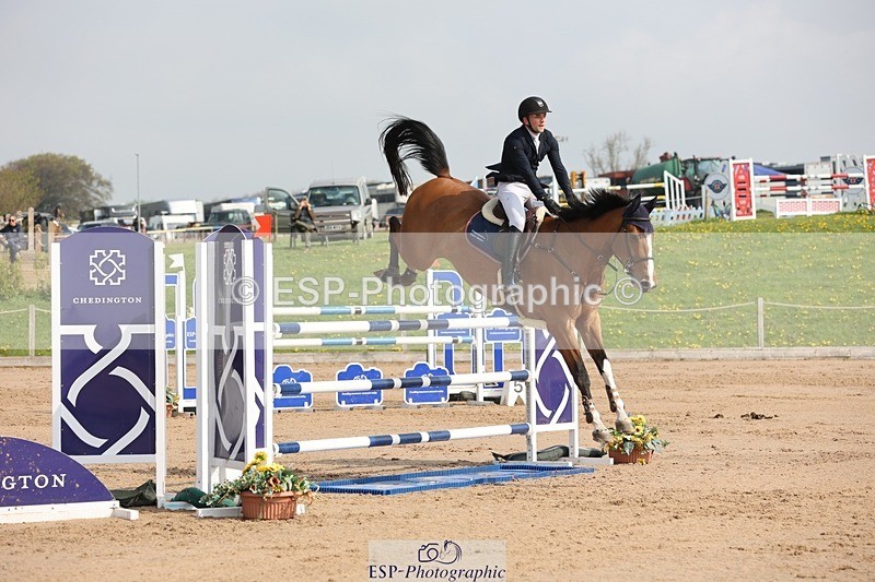 250424-103631-03130 - Cls 33 Young Horse 7yr old