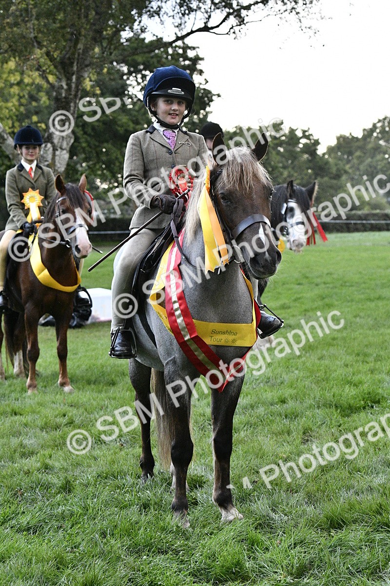 SBM_53348 - S14 - Riding Club Horse