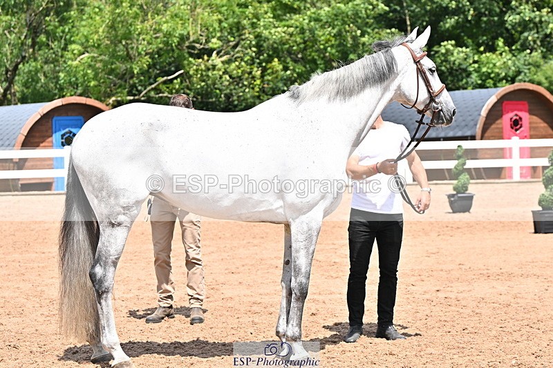 240718A-105310-01656 - Trot Up 1pm to 2pm