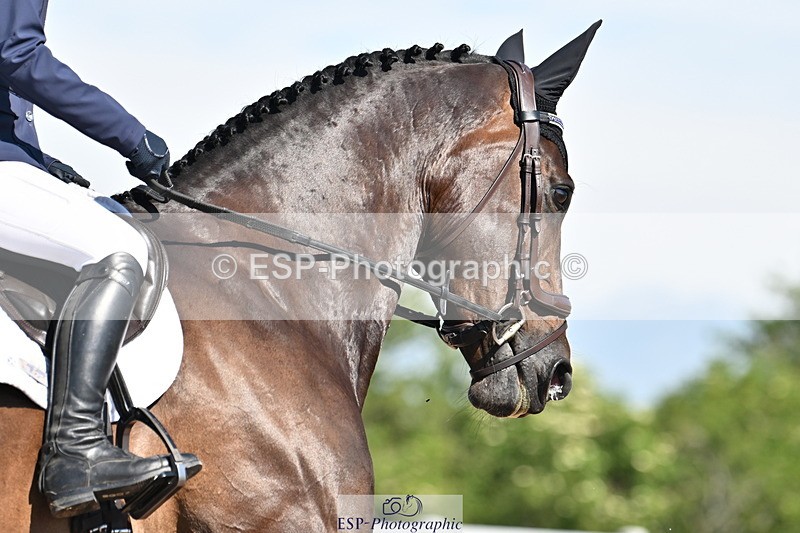 240621A-094659-01269 - Cls 1 BD Prelim 15