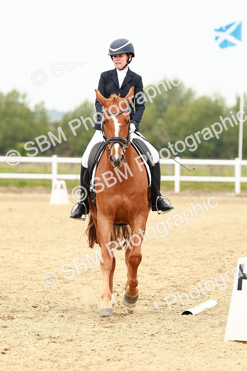 SBM_001808 - Class 9 - Elementary 4