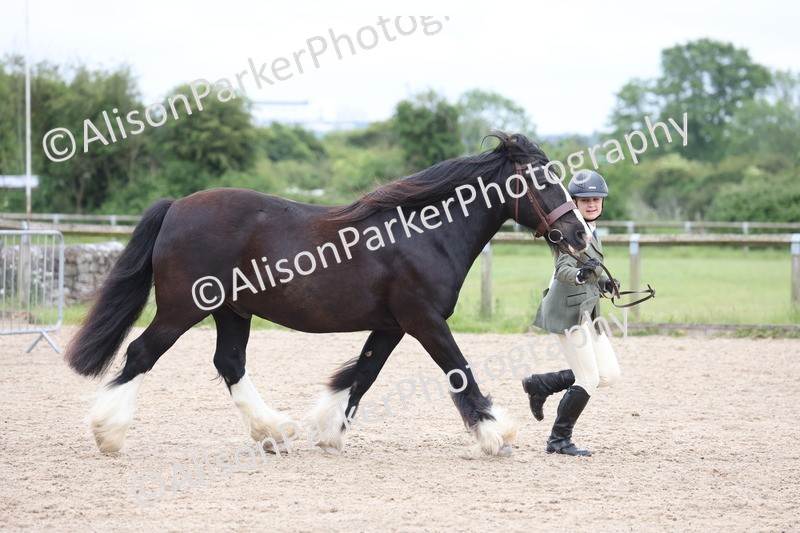 20250524-0686 - Class 7 - Veteran