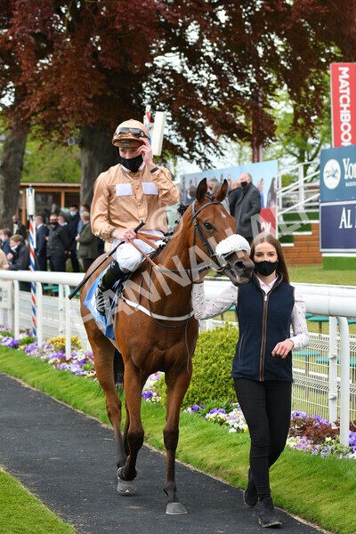 yr14052021r1-39 - Race 1 1.40pm Langleys Solicitors British EBF Marygate Fillies' Stakes