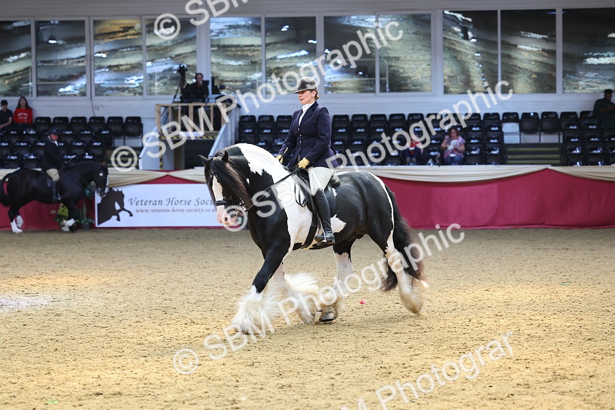SBM_24076 - Class 905 - Supreme Final - Ridden Veteran