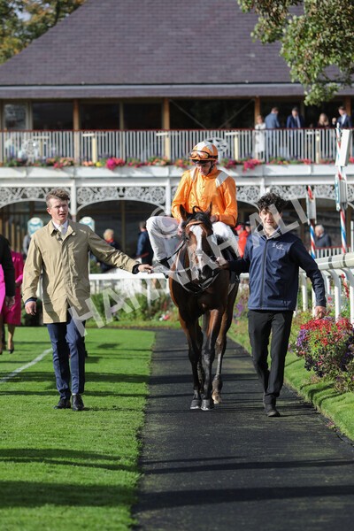 yr07102022r3-40 - Race 3 3.15pm British EBF £100,000 2yo Series Final (Colts and Geldings)