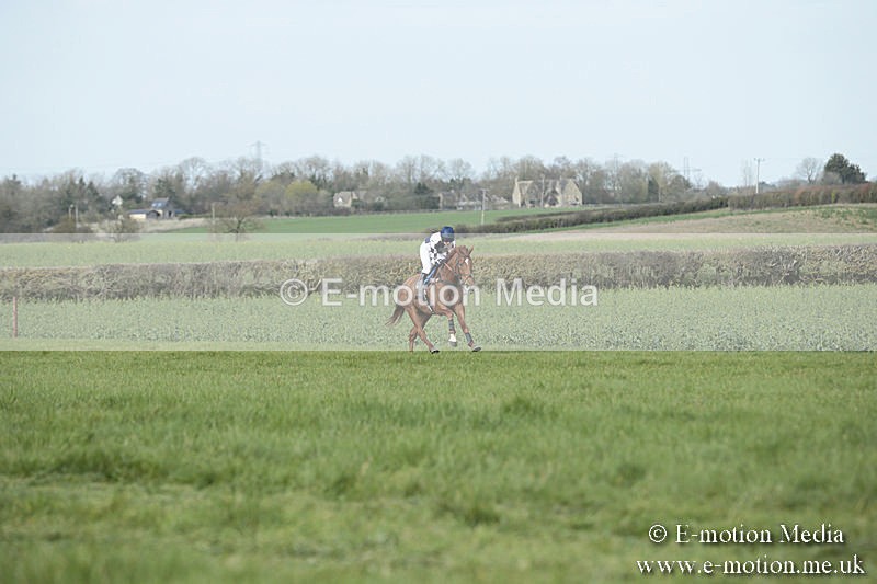 PtP 230319 355 - VWH Hunt Siddington Point-to-Point Racing 23/03/19
