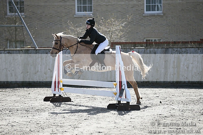 BVRC SJ 170319 266 - Bourne Valley Riding Club Showjumping 17/03/19