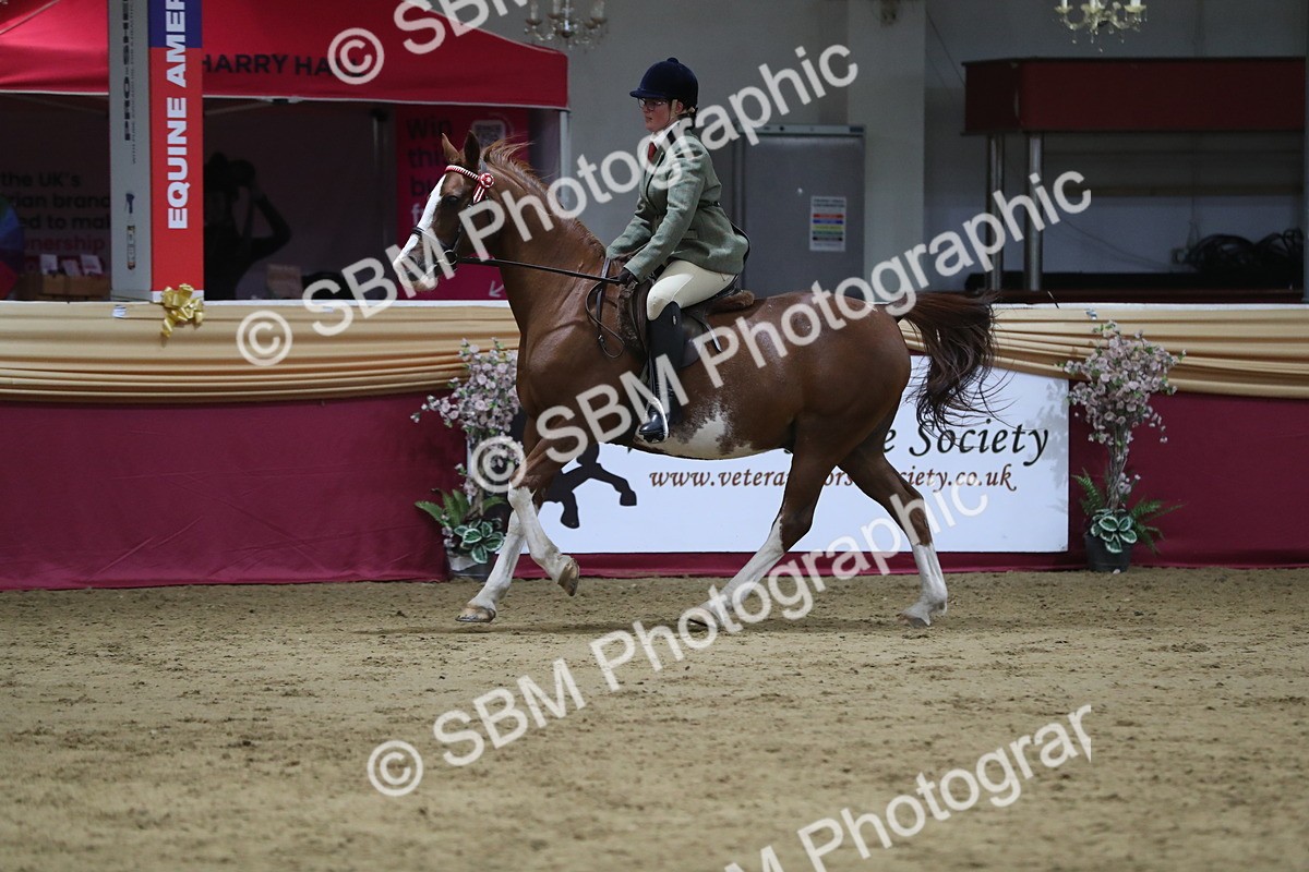 SBM_08453 - Class 11R Regional Ridden Veteran