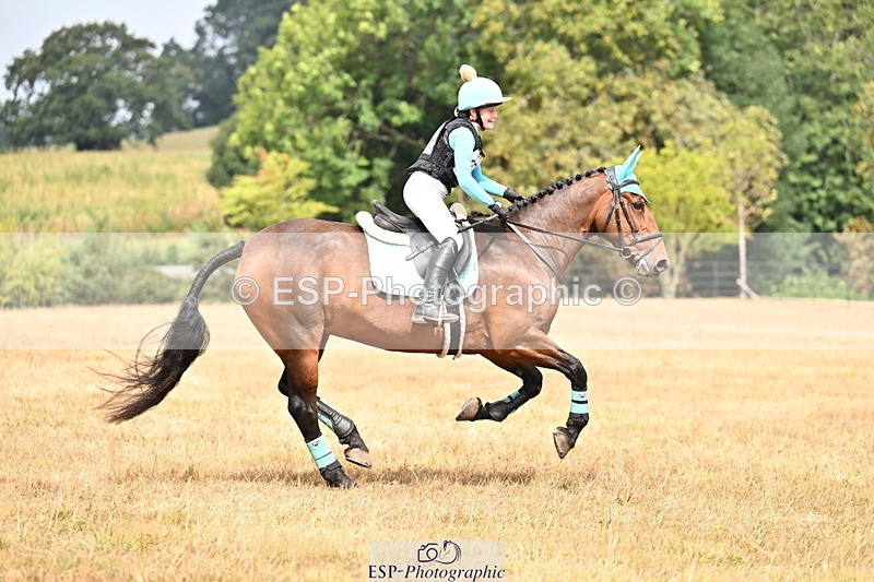 250824A-120159-36024 - 2006-Dixie.Mchenry-Darragh