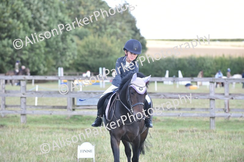 20250831-0436 - Class 7 - Absolute Novice 35cm