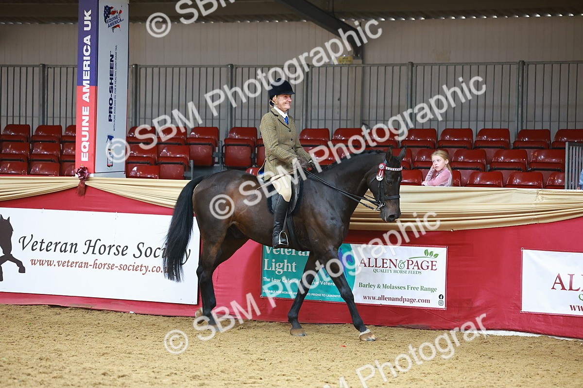 SBM_09565 - Class 102 - HOYS Veteran Qualifier - Ridden Veteran
