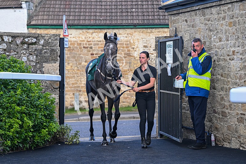 080926-Race 6-Shes A Goldigger-2856 - Race 6 4.46pm Download The Raceday Ready App Handicap
