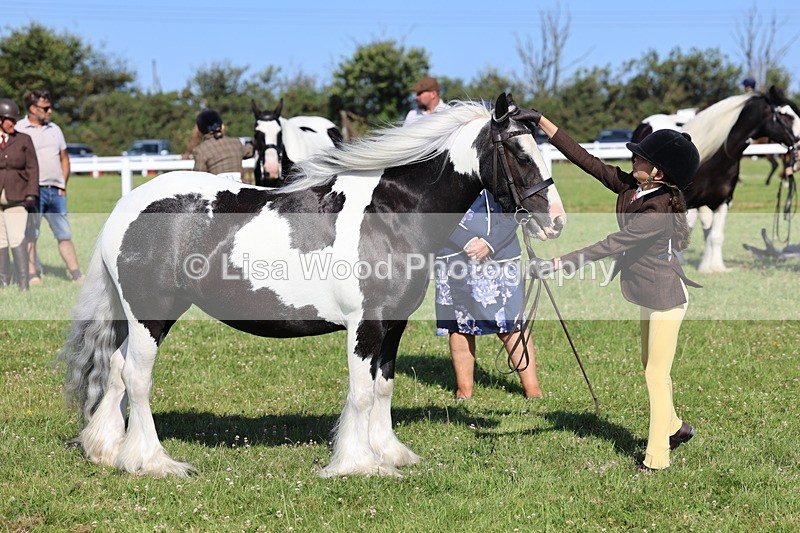 IMG_1578 - Class 30: Ridden Native/Trad Coloured Pony