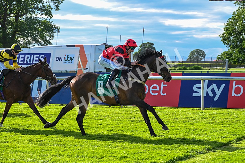 310526-Race 6-Mountain Road-9298 - Race 6 18.15pm Sky Bet For The Fans Handicap