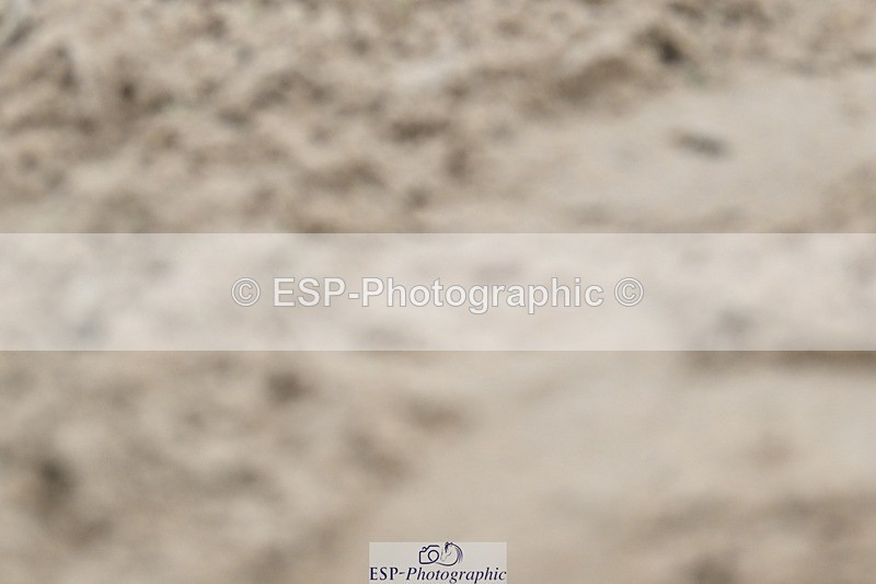 241103-121801-01521 - Prelim 1 - 11.31 to 12.55