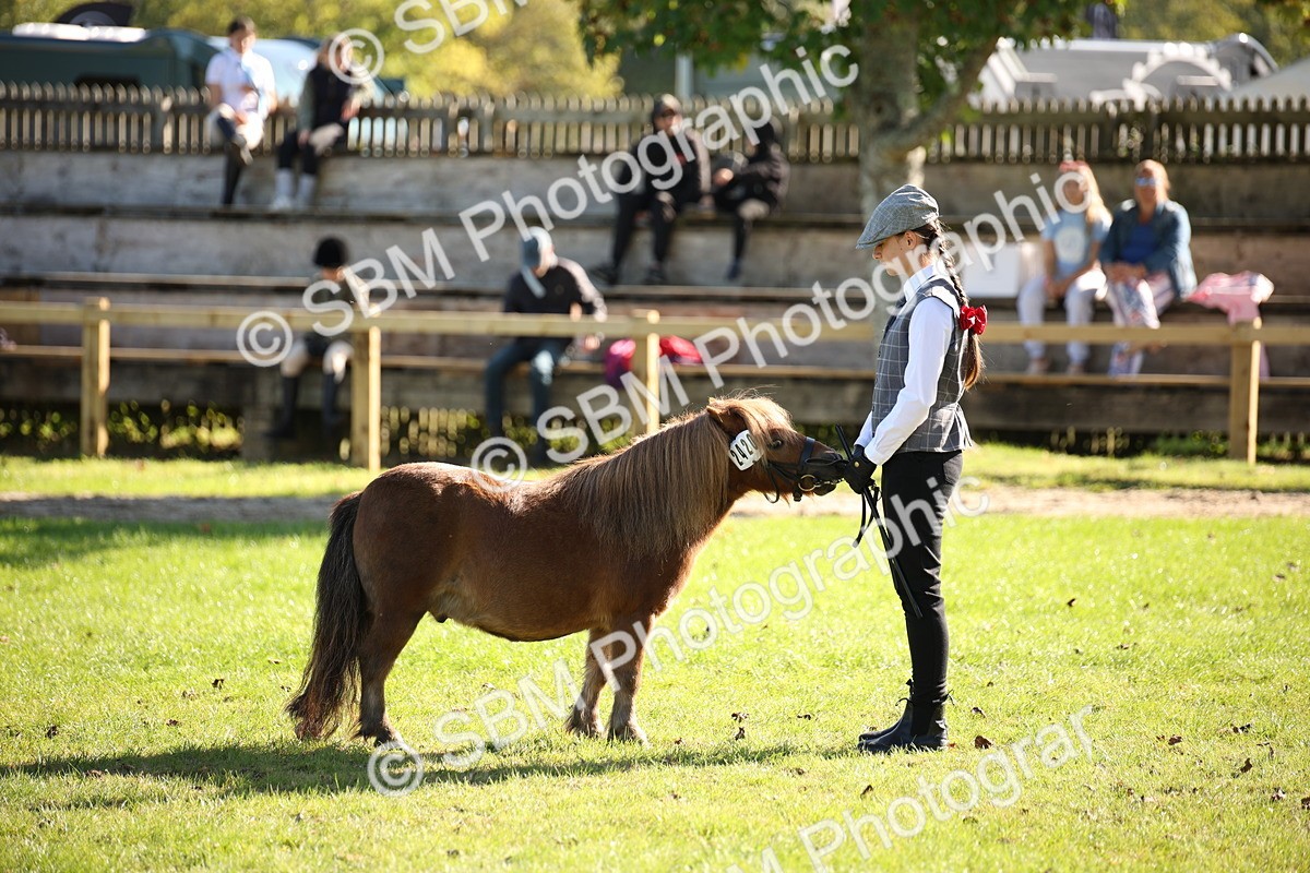 SBM_36605 - S10 - Best In Hand Horse & Pony