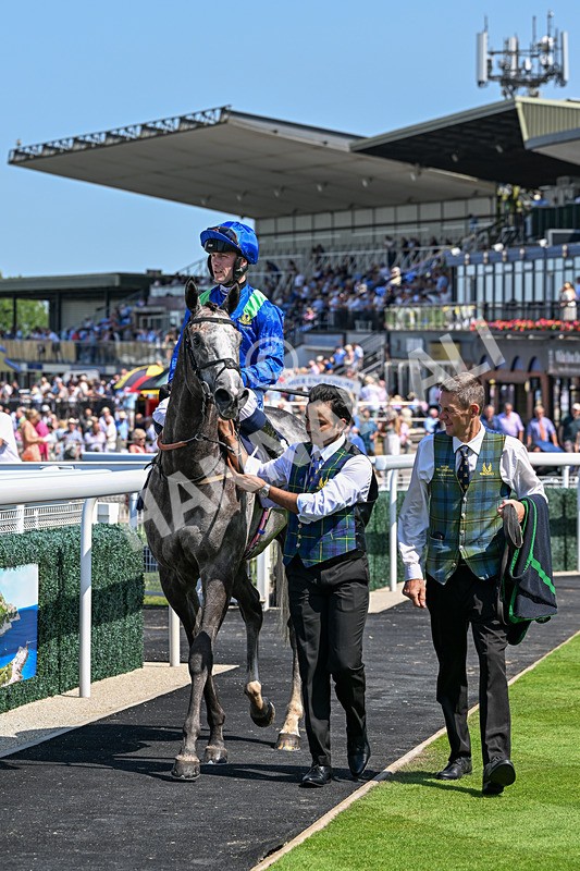 230626-Race 2-Tattie Bogle-0407 - Race 2 14.45pm Beverley Racecourse Supporting Racing Staff Week Handicap