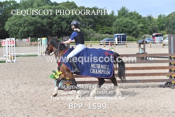 BPP_1599 - DERBY CLASS 3 - 40CM