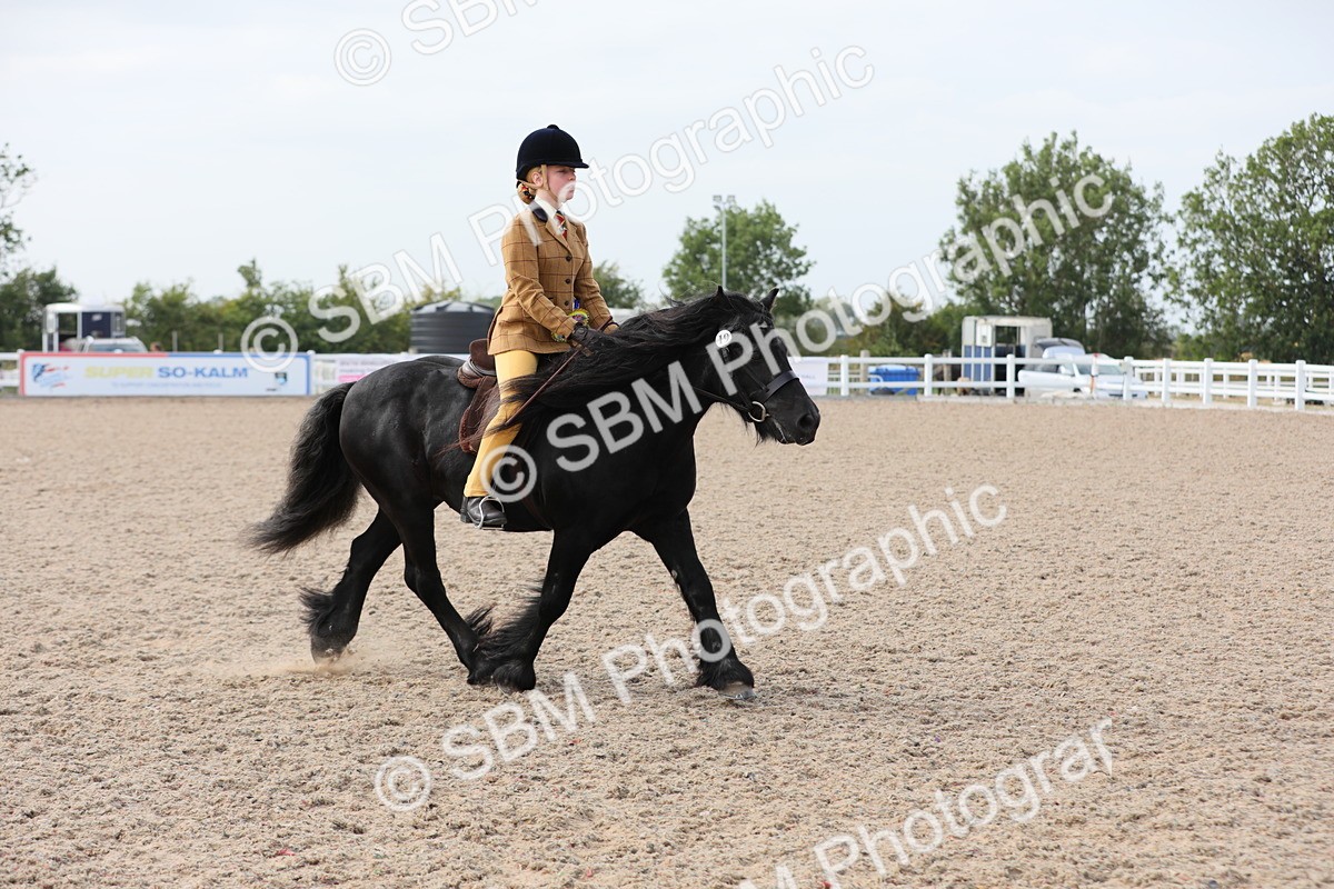 SBM_17068 - Class 314 Family Horse/Pony