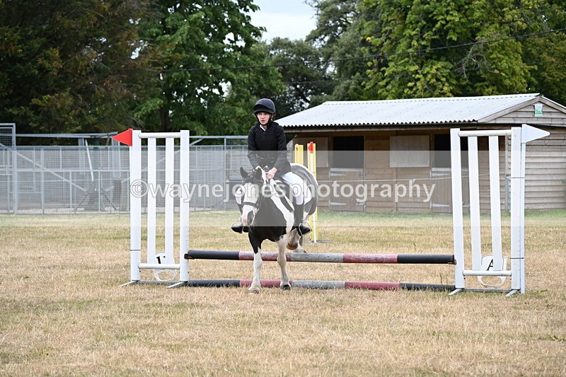 WJ6_5303 - Class 12 Minimus Jumping 45cm