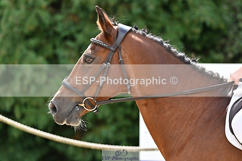 230825-123935-10286 - Round 2 11.30 to End