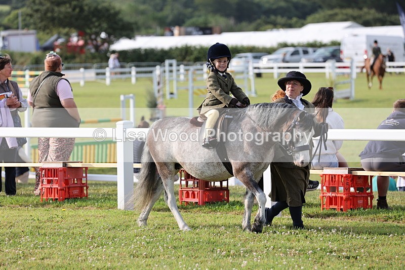 JPP_0152 - Class 14: Cornish Combination Leading Rein