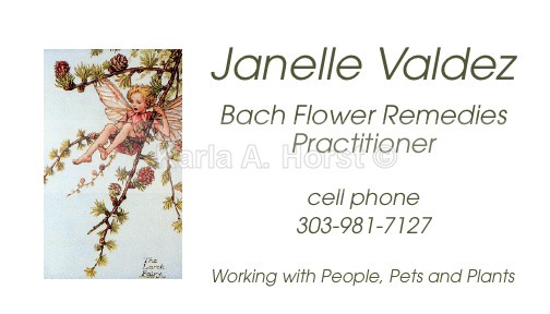 Business Card - Graphic Design