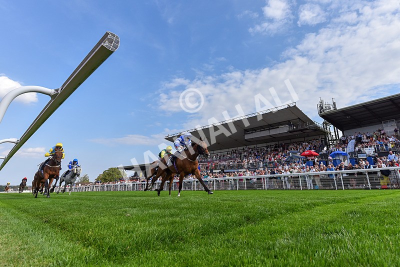 240825-Race 5-This Years Love-0337 - Race 5