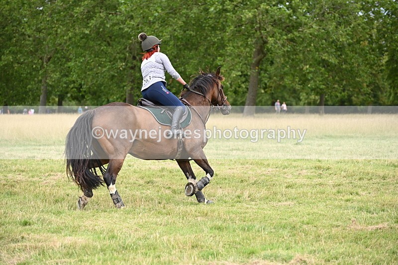 WJ6_3803 - Time at Jump 12:22 to 13:03