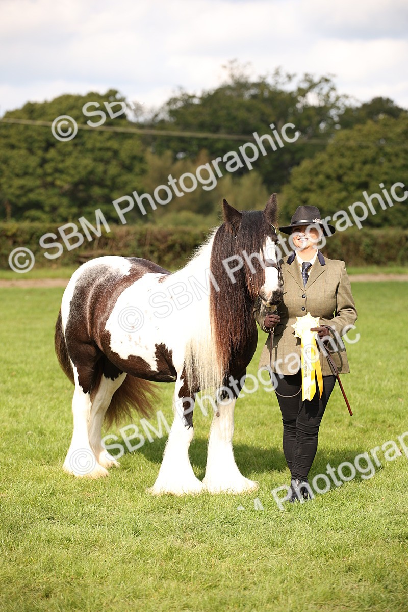 SBM_62319 - S55 - Traditional Cob In Hand