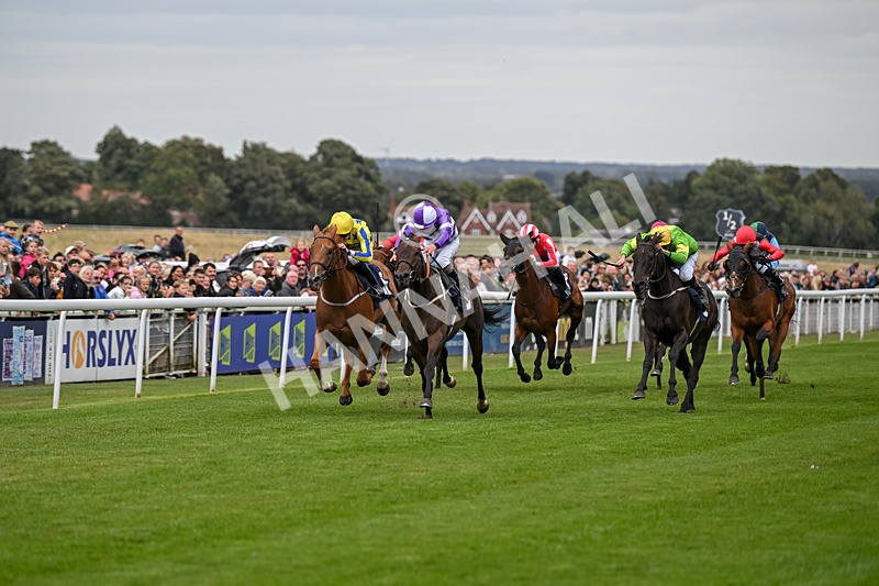 250824-Race 2-Ludos Landing-2925 - Race 2