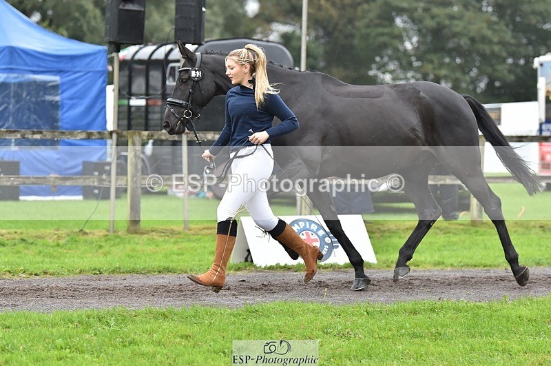 231018-123956-00432 - 053-WISHING.TIME-Holly.Law-TrotUp