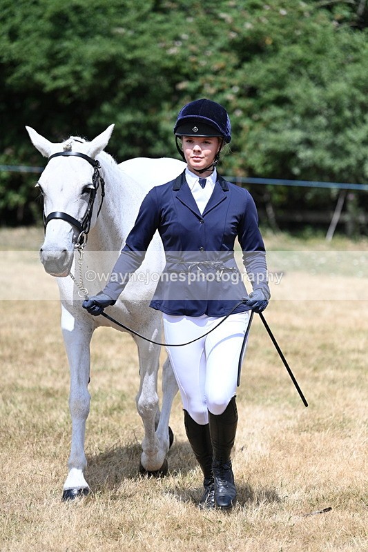 WJ7_1606 - Class 4 Prettiest Mare up to 14.2hh in hand